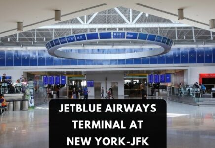 Delta Terminal At Jfk Airport Guide