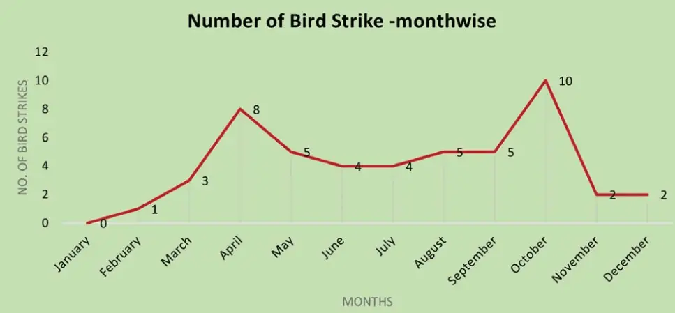 birdstrike accident aviatech channel