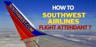 Southwest-Airlines-flight-attendant-aviatechchannel