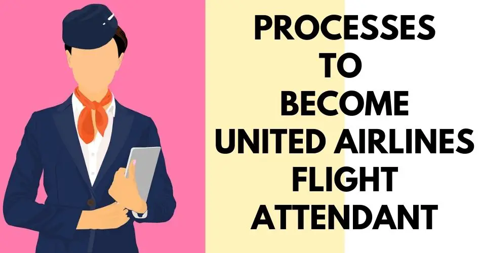 How To A United Airline Flight Attendant? (Salary, Requirements)