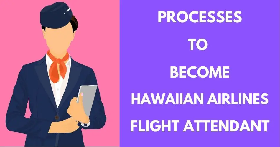 become hawaiian airlines flight attendant aviatechchannel