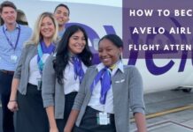 how-to-become-avelo-airlines-flight-attendant-aviatechchannel