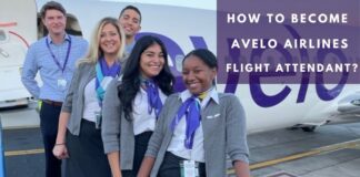 how-to-become-avelo-airlines-flight-attendant-aviatechchannel