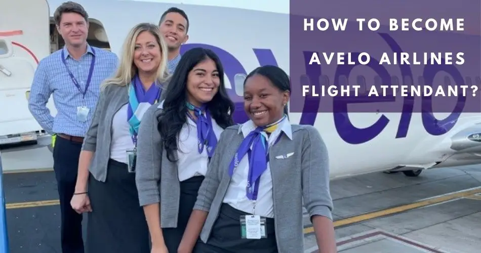 Avelo Airlines Flight Attendant Jobs Requirements, Salary (2023)
