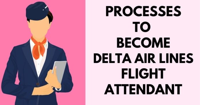 Want To Become A Delta Airlines Flight Attendant? (Guide)