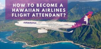 how-to-become-hawaiian-airlines-flight-attendant-aviatechchannel