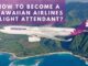 how-to-become-hawaiian-airlines-flight-attendant-aviatechchannel