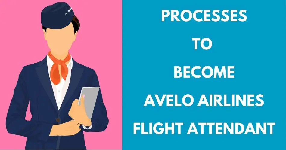 process-to-apply-avelo-airlines-flight-attendant-aviatechchannel
