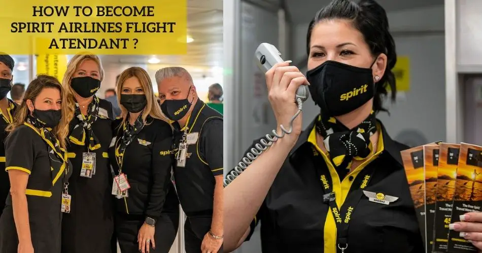 Spirit Airlines Flight Attendant Career Guide (2024)