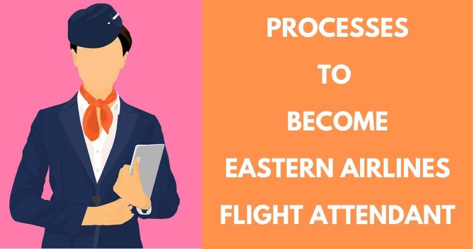 process to become eastern airlines flight attendant aviatechchannel