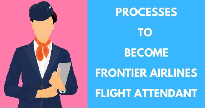 Frontier Airlines Flight Attendant Career Guide (2024)