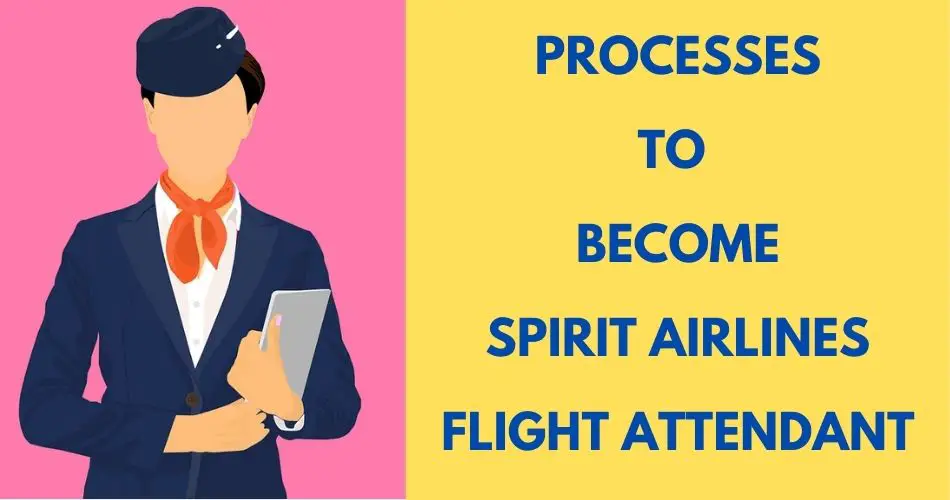 process-to-become-spirit-airlines-flight-attendant-aviatechchannel