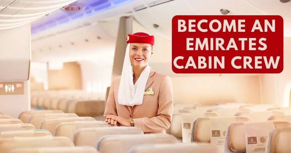 Qatar Airways Cabin Crew Requirements and Qualifications  Cabin Crew HQ