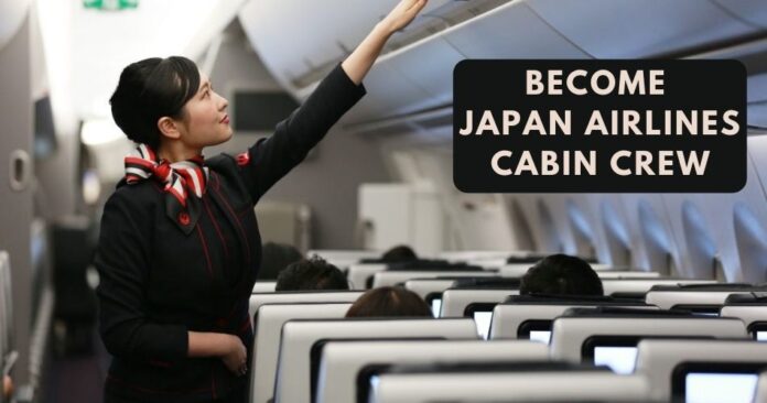 how-to-become-japan-airlines-cabin-crew-aviatechchannel