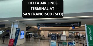 delta-terminal-at-sfo-aviatechchannel