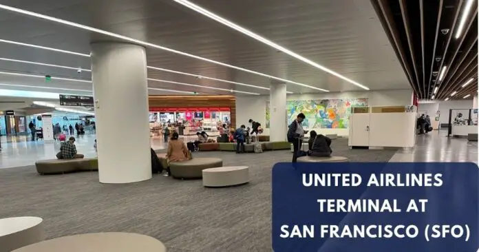 United Airlines Terminal At SFO 2024   United Airlines Terminal At Sfo Aviatechchannel 696x366 