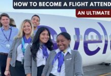 how-to-become-a-flight-attendant-aviatechchannel