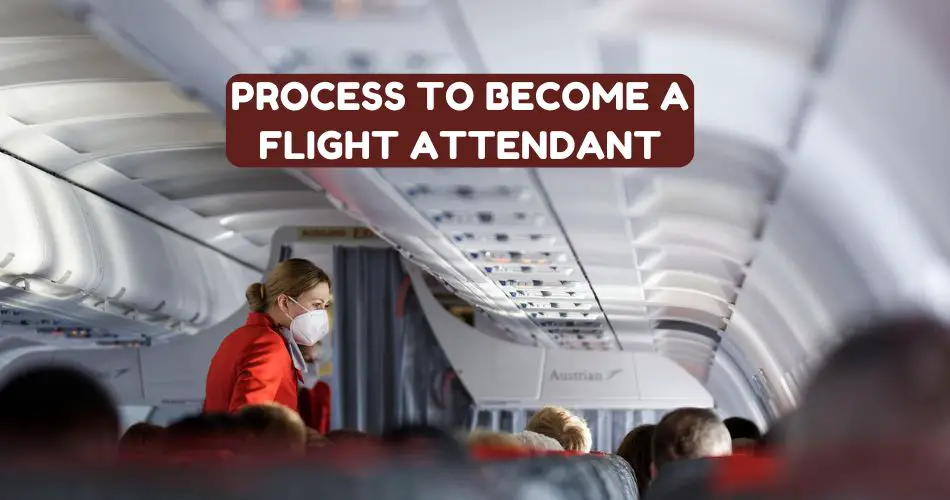 how-to-become-a-flight-attendant-processes-aviatechchannel