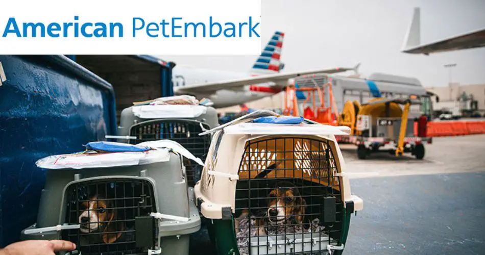 american-petembark-cargo-service-aviatechchannel