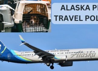 explore-alaska-airlines-pet-policy-aviatechchannel