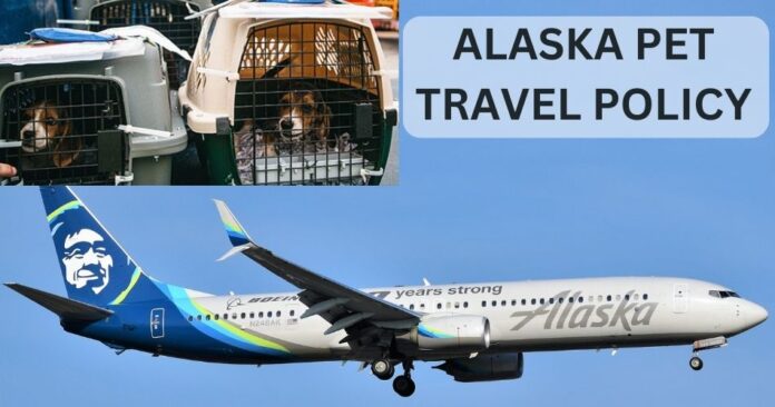 explore-alaska-airlines-pet-policy-aviatechchannel