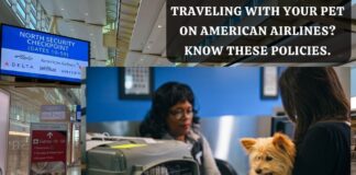 explore-american-airlines-pet-policy-aviatechchannel