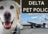 explore-delta-pet-policy-aviatechchannel