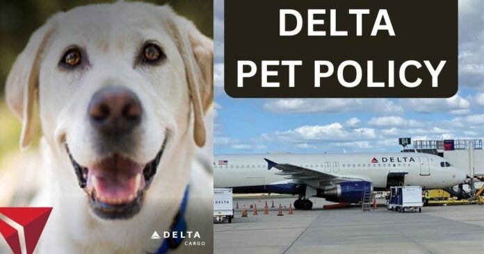 explore-delta-pet-policy-aviatechchannel explore-delta-pet-policy-aviatechchannel