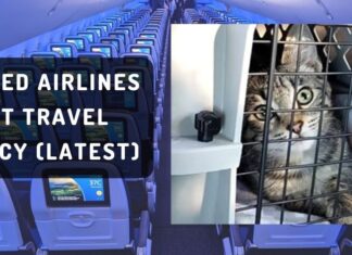 explore-latest-united-airlines-pet-travel-policy-aviatechchannel