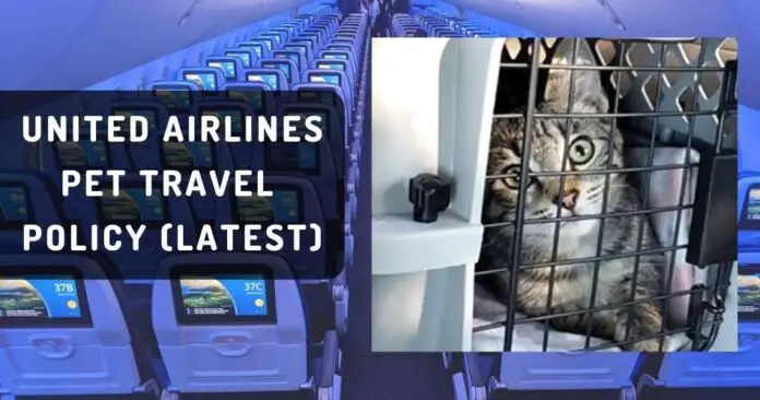 explore-latest-united-airlines-pet-travel-policy-aviatechchannel explore-latest-united-airlines-pet-travel-policy-aviatechchannel