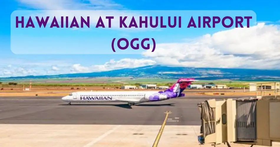 hawaiian airlines kahului airport hub aviatechchannel