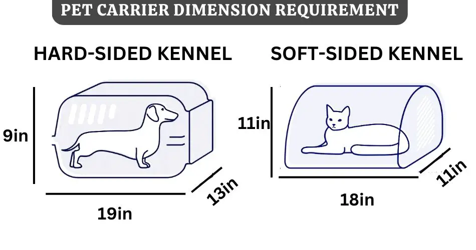 American Airlines Carryon Size & Policy [Updated 2024]