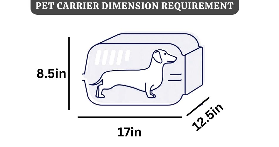 jetblue-pet-carrier-dimension-requirements-aviatechchannel