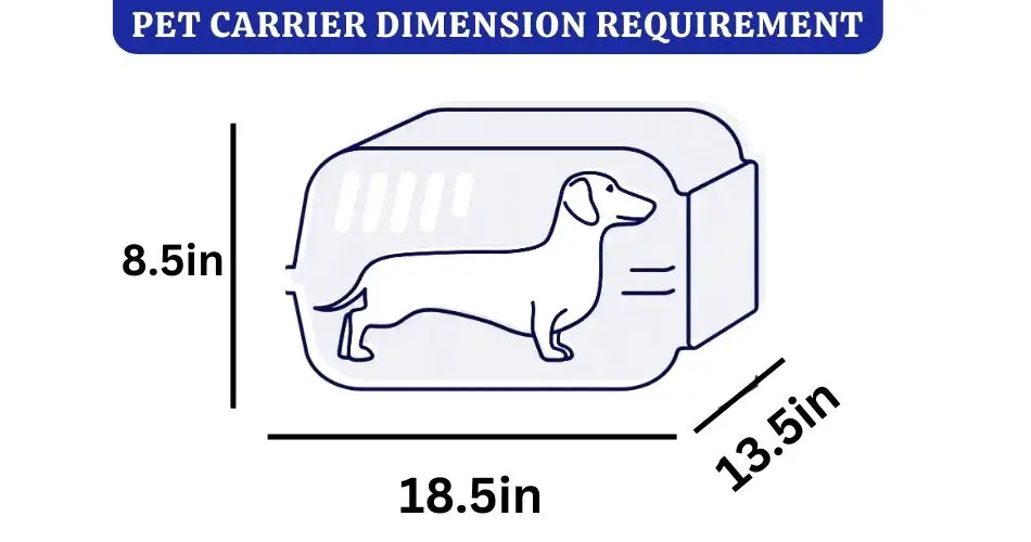 pet carrier dimension how strict is southwest with pet policy aviatechchannel