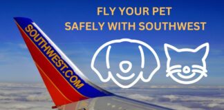 southwest-airlines-pet-policy-latest-aviatechchannel