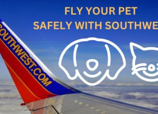 southwest-airlines-pet-policy-latest-aviatechchannel