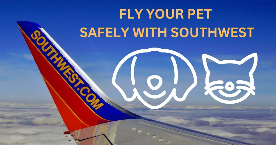 southwest-airlines-pet-policy-latest-aviatechchannel