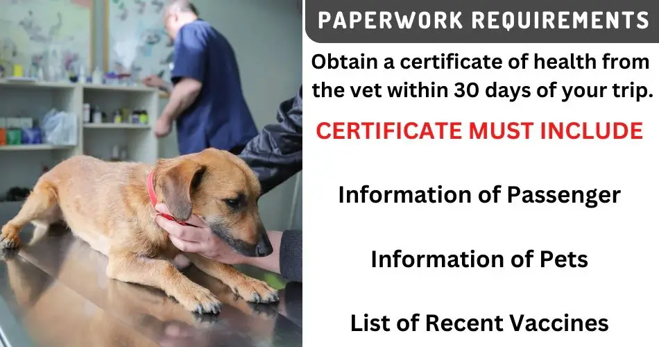 united-airlines-pet-travel-policy-paperwork-aviatechchannel