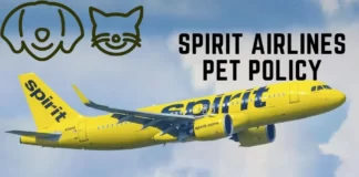 spirit-airlines-pet-policy-latest-aviatechchannel