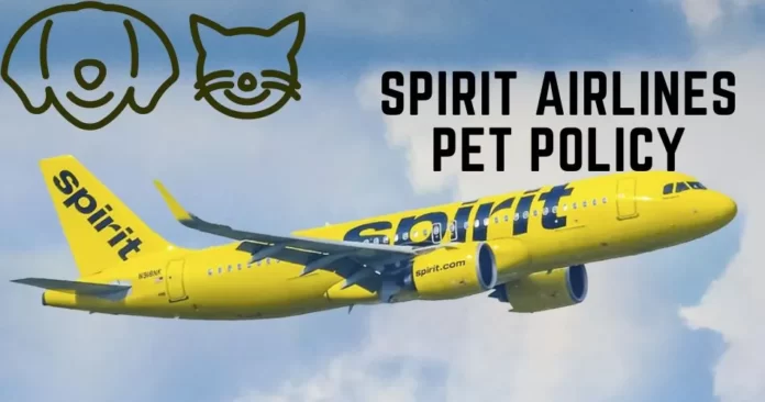 spirit-airlines-pet-policy-latest-aviatechchannel