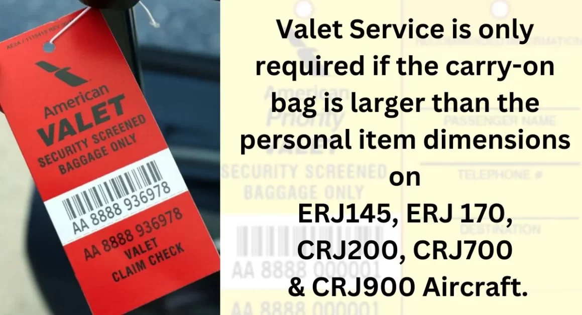 american airlines valet bag service aviatechchannel