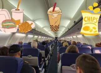 carrying-homemade-food-on-a-flight-aviatechchannel